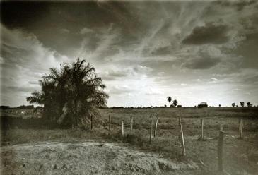 Llanos, Venezuela. © Etienne Pierart.